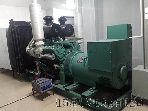 里卡多發(fā)電機組